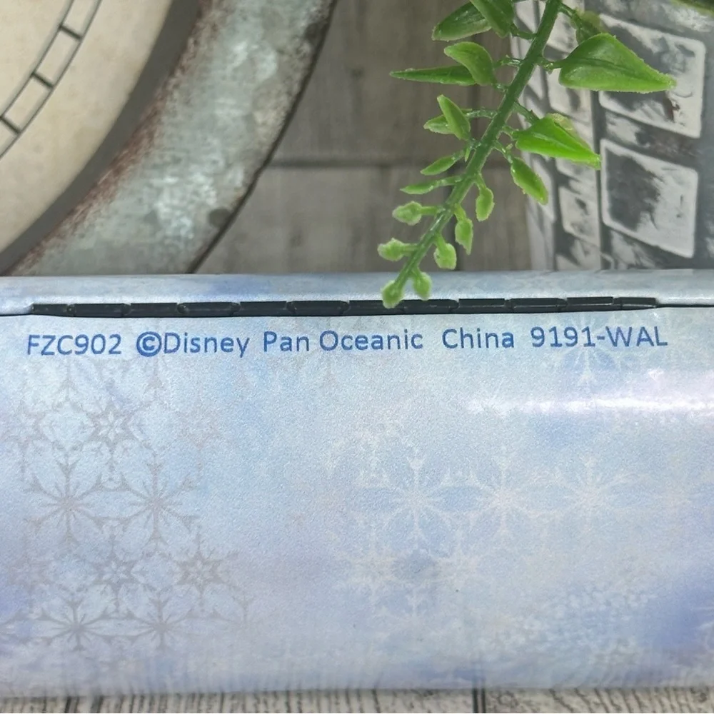 DISNEY - Frozen II Kids Glasses Case